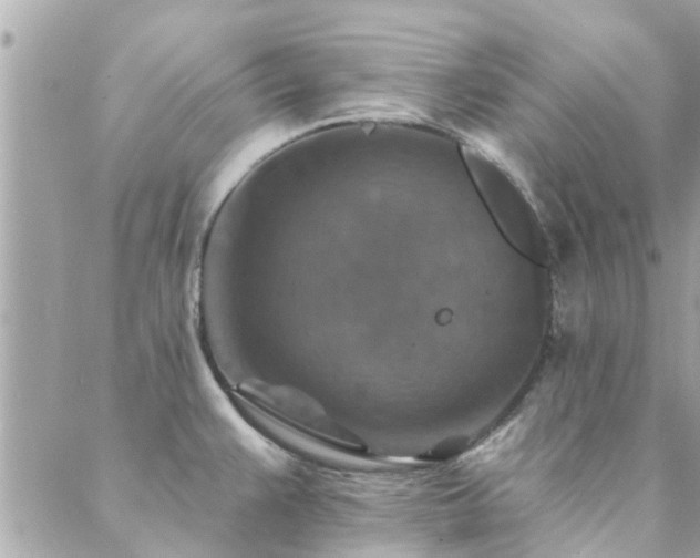 X0000088431383200705221236