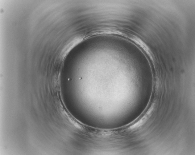 X0000088431385200705221236