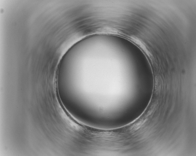 X0000088431387200705221236