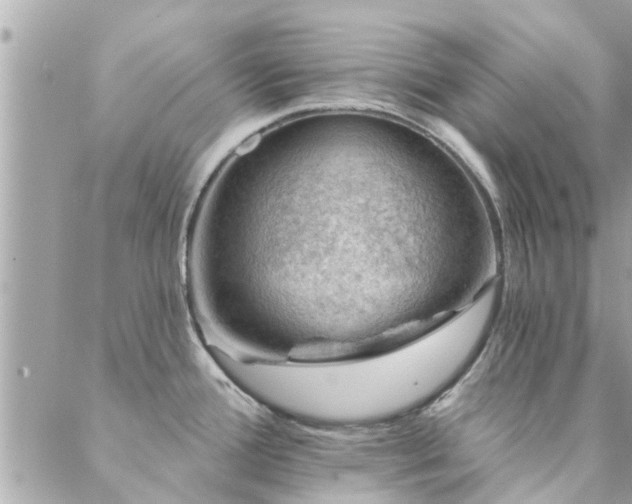 X0000088431388200705221236