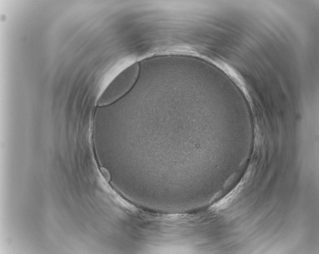 X0000088431390200705221236