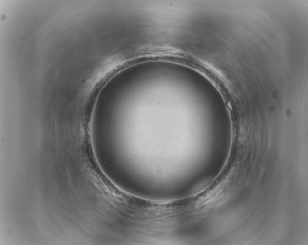 X0000088431407200705221236