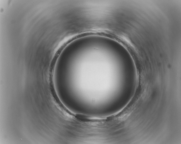 X0000088431412200705221236