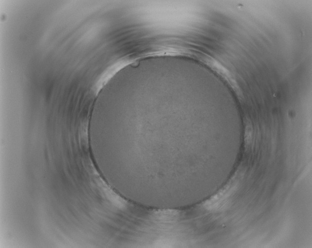 X0000088431417200705221236