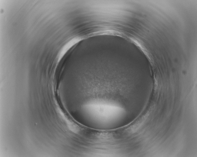 X0000088431418200705221236