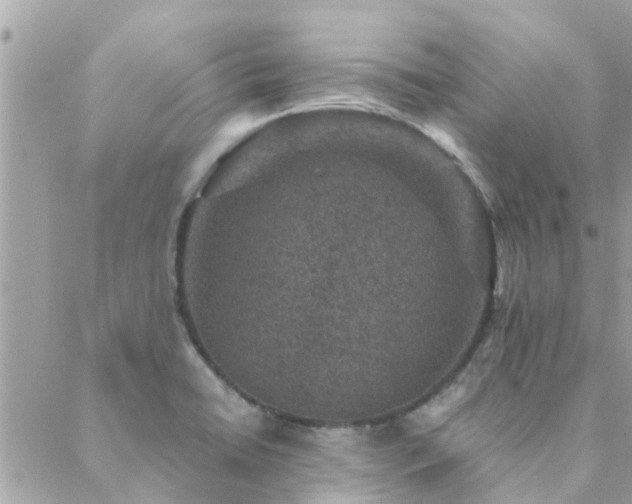 X0000088431422200705221236