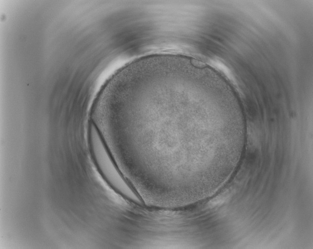 X0000088431424200705221236