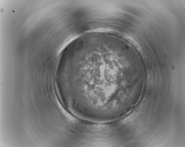 X0000088431425200705221236