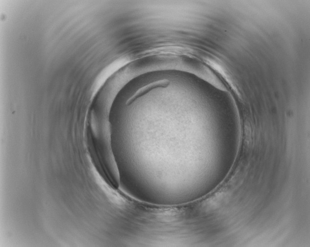 X0000088431426200705221236