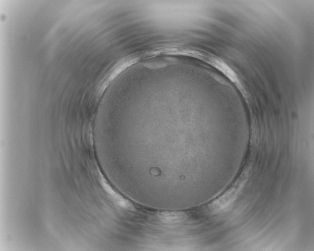 X0000088431433200705221236