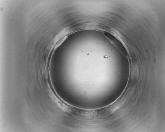 X0000088431434200705221236