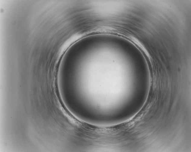 X0000088431437200705221236