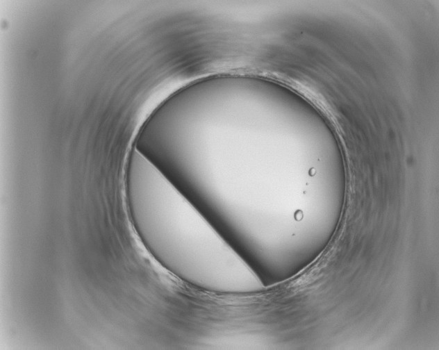 X0000088431440200705221236