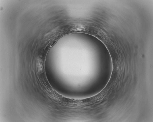 X0000088431442200705221235