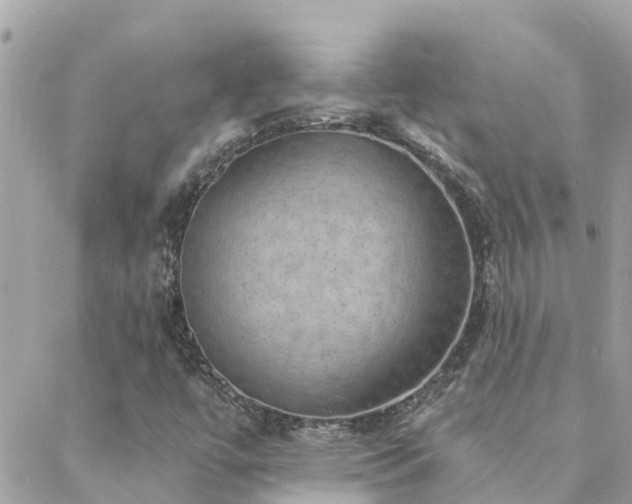X0000088431447200705221235