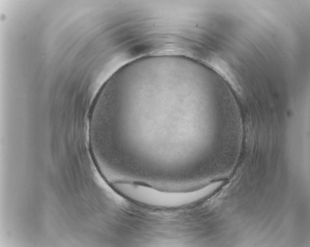 X0000088431476200705221235