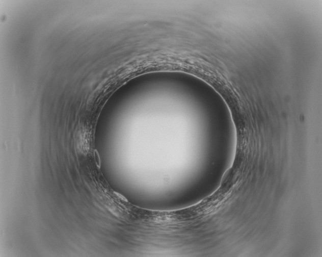 X0000088431490200705221234