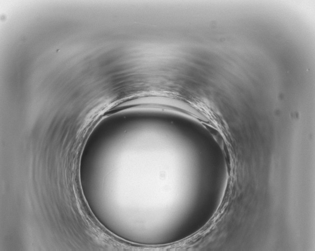 X0000088430001200705291537