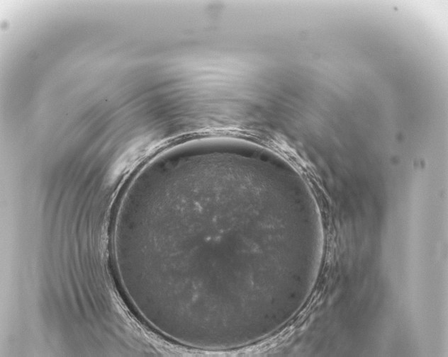 X0000088430002200705291537