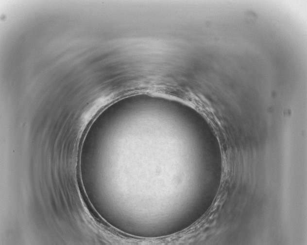 X0000088430003200705291537