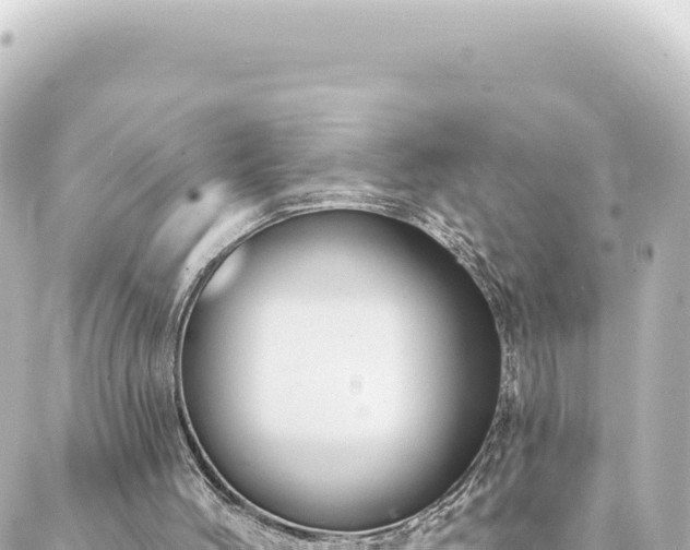 X0000088430004200705291537