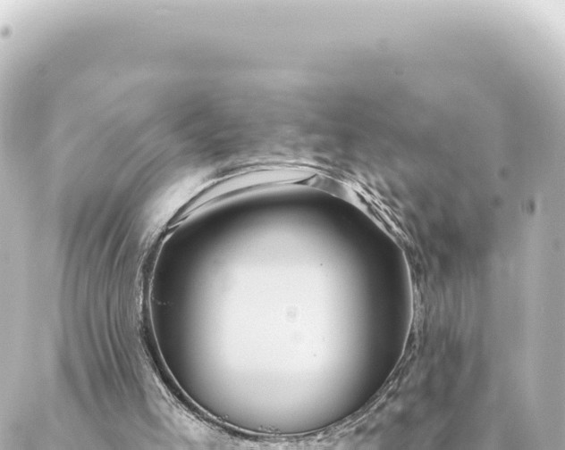 X0000088430005200705291537