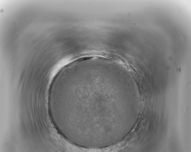 X0000088430006200705291537