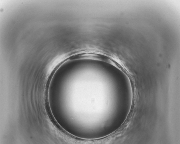 X0000088430007200705291537