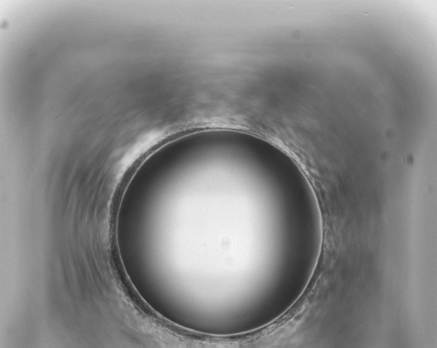 X0000088430008200705291537