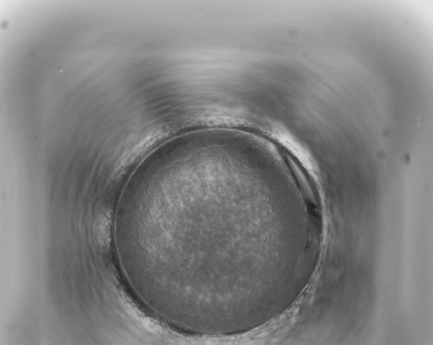 X0000088430009200705291537