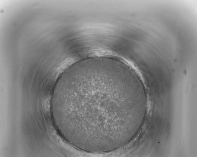 X0000088430010200705291536