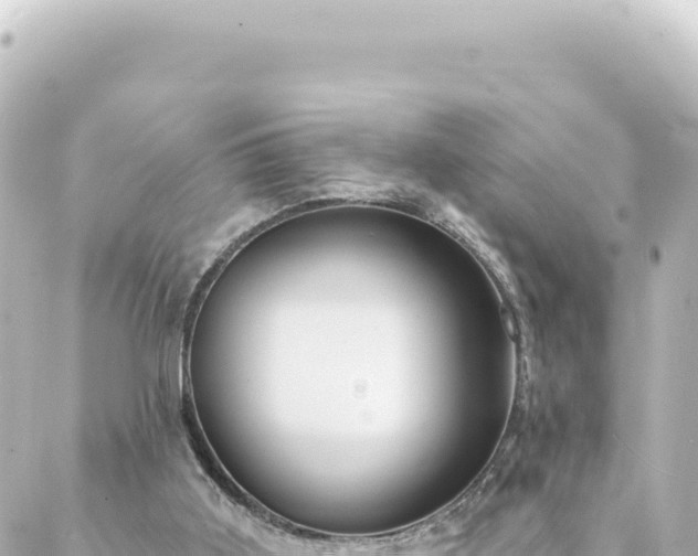 X0000088430011200705291536