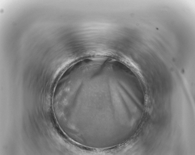 X0000088430012200705291536