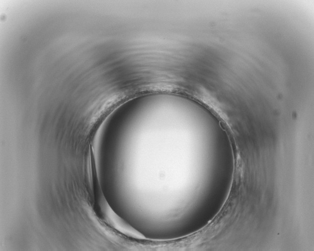 X0000088430013200705291536