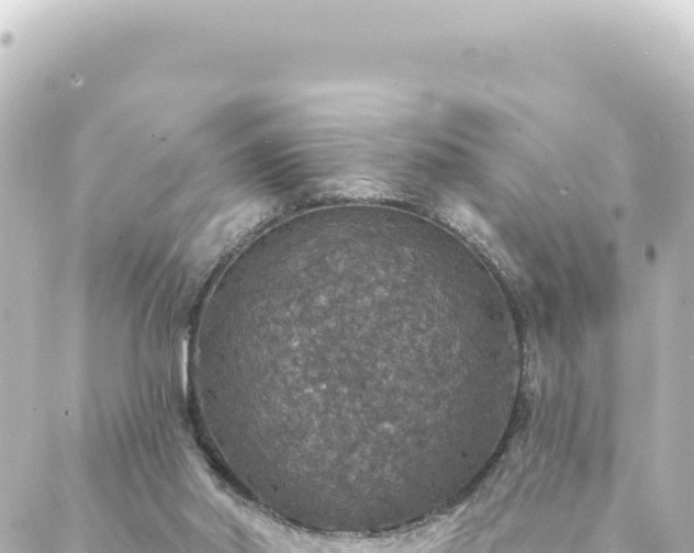 X0000088430014200705291536