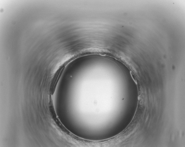 X0000088430015200705291536