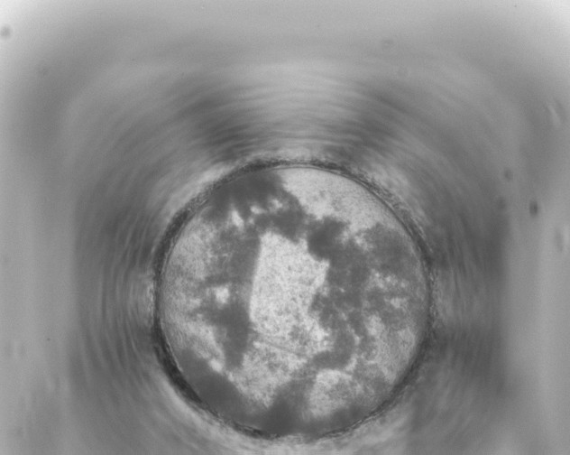 X0000088430016200705291536