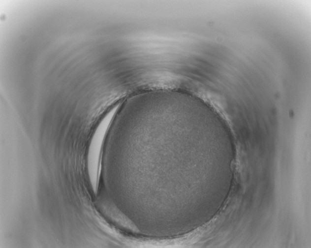 X0000088430017200705291536