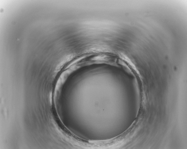 X0000088430019200705291536