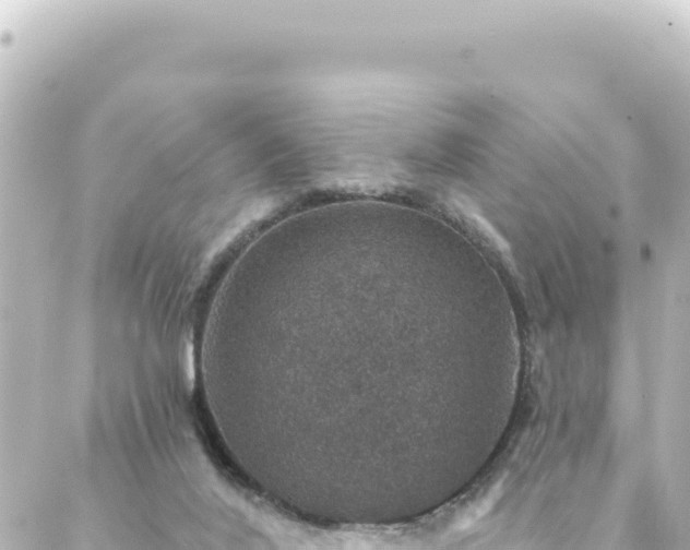 X0000088430020200705291536