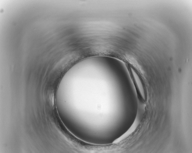 X0000088430021200705291536