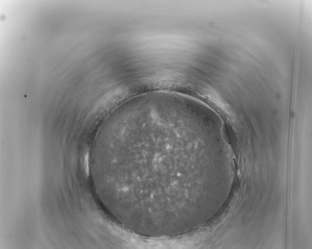 X0000088430022200705291536