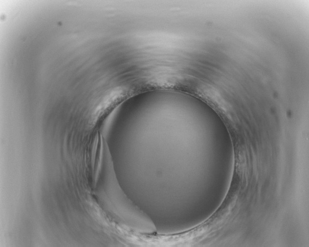 X0000088430023200705291536