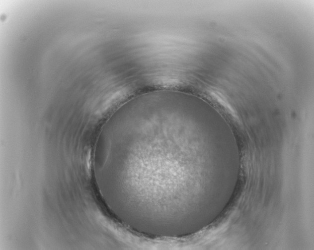 X0000088430024200705291536