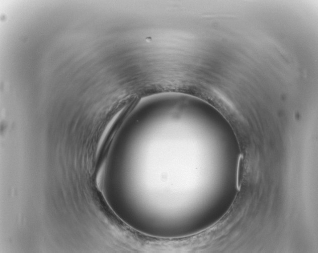 X0000088430025200705291536