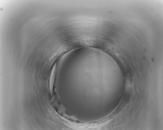 X0000088430027200705291536