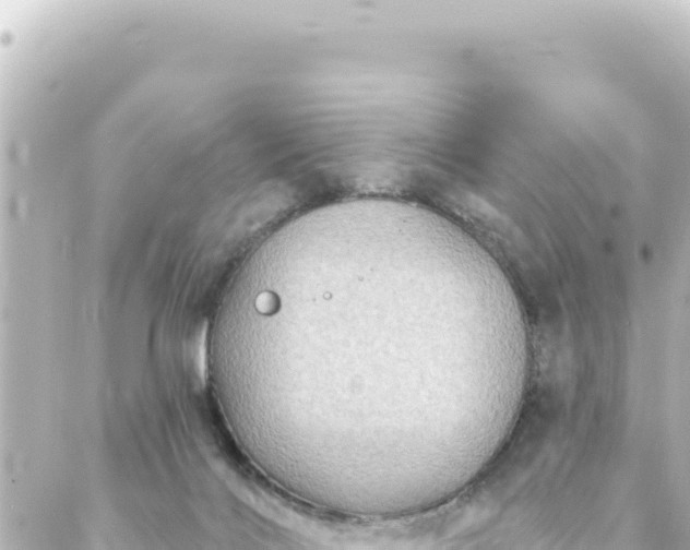 X0000088430028200705291536