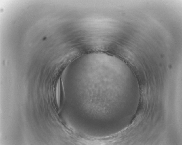 X0000088430029200705291536