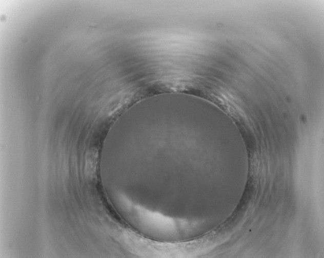 X0000088430030200705291536