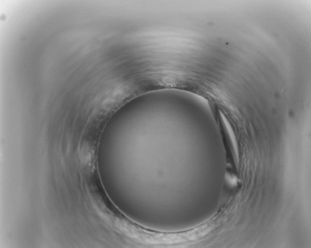 X0000088430031200705291536